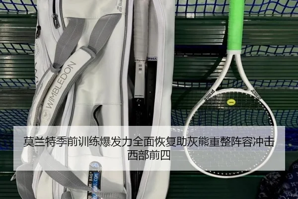 莫兰特季前训练爆发力全面恢复助灰熊重整阵容冲击西部前四
